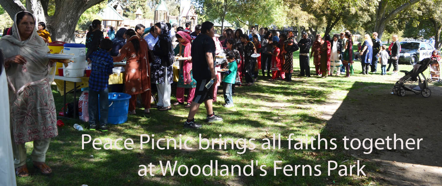 Woodland picnic 10-13-2012-44b